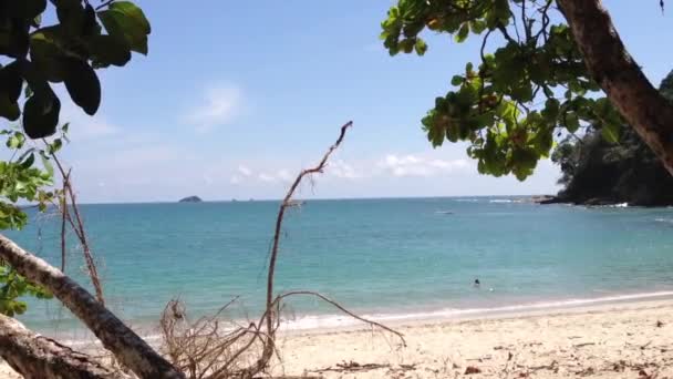 Παραλία Στο Manuel Antonio National Park Κόστα Ρίκα — Αρχείο Βίντεο