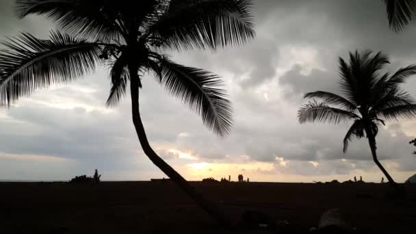 Ombra Palma Sulla Spiaggia Jaco Costa Rica — Video Stock