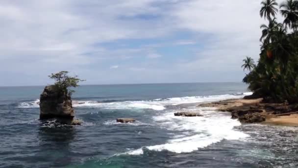 Coasta Gandoca Manzanillo National Wildlife Refuge Costa Rica — Videoclip de stoc