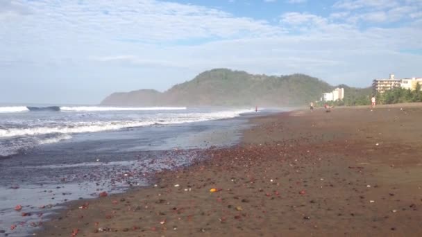 Jaco Beach Morning Costa Rica — Stock Video