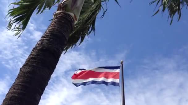 Palmtree Σημαία Κόστα Ρίκα — Αρχείο Βίντεο