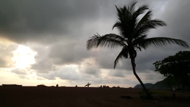 哥斯达黎加Jaco海滩的棕榈树影子和日落 — 图库视频影像