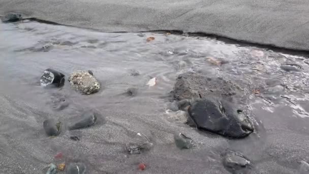 Arroyo Agua Playa Montezuma Costa Rica — Vídeo de stock