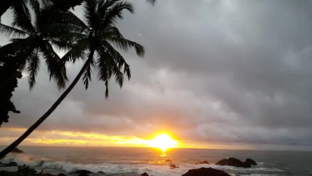 Sonnenaufgang Der Küste Von Montezuma Costa Rica — Stockvideo