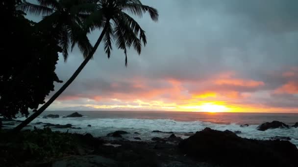 Sunrise Coast Montezuma Costa Rica — Stock Video