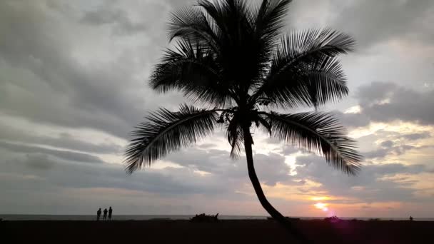 Pôr Sol Praia Jaco Costa Rica — Vídeo de Stock