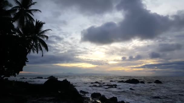 Cloudy Sunrise Palmtrees Coast Montezuma Costa Rica — Stock Video