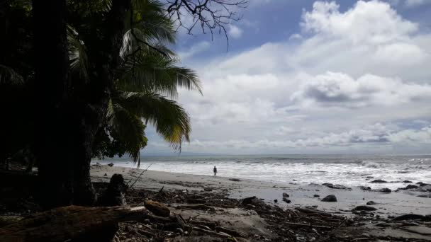 Eenzame Persoon Wandelen Aan Het Emty Strand Montezuma Costa Rica — Stockvideo