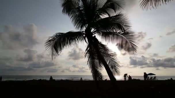 Palmtree Και Άνθρωποι Σιλουέτα Κατά Διάρκεια Του Ηλιοβασιλέματος Στην Παραλία — Αρχείο Βίντεο