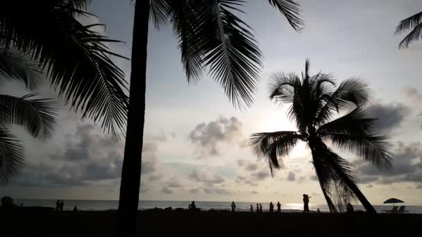 Palmtrees People Silhouette Sunset Jaco Beach Costa Rica — Stock Video