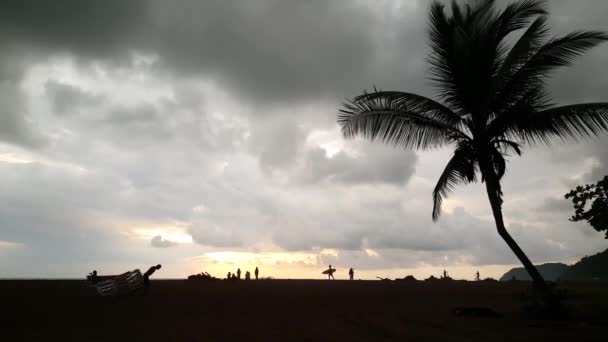 Палмтрі Люди Силуету Під Час Заходу Сонця Пляжі Яко Коста — стокове відео