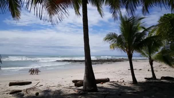 Grupo Surfistas Caminando Playa Santa Teresa Costa Rica — Vídeo de stock