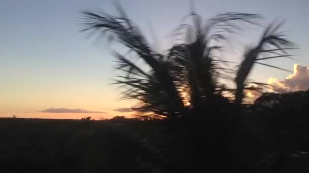 日没時にキューバをドライブ — ストック動画