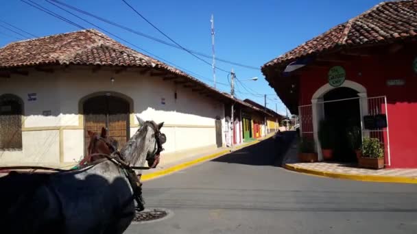 Cestovní Ruch Koně Kočár Ulicích Granada Nikaragua — Stock video
