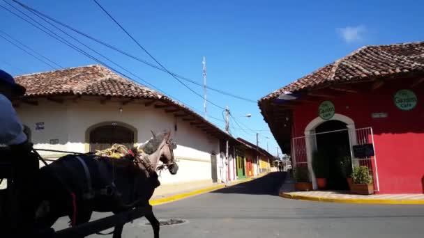Cavalo Carruagem Nas Ruas Granada Nicarágua — Vídeo de Stock