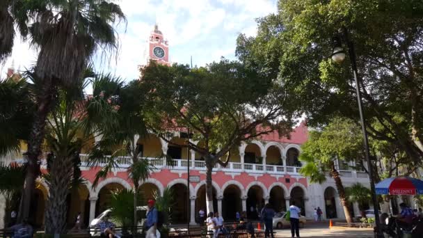 Rathaus Von Merida Yucatan Mexiko — Stockvideo