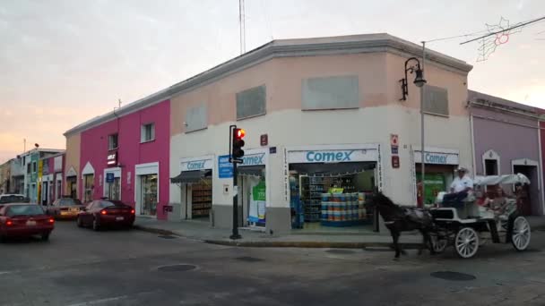 Kůň Kočár Ulicích Merida Yucatan Mexiko — Stock video