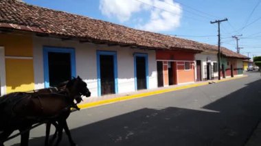 Granada Nikaragua sokaklarında at ve beyaz bir araba.