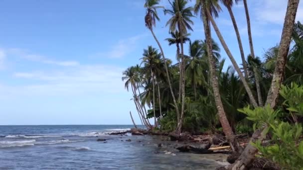 Ilhas Bocas Del Toro Panamá — Vídeo de Stock