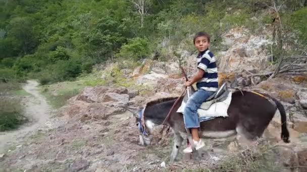 Kind Auf Einem Esel Und Vater Auf Einem Pferd Lächeln — Stockvideo