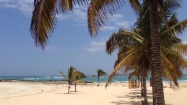 Isabela 'daki sahil, Galapagos Adaları, Ekvador