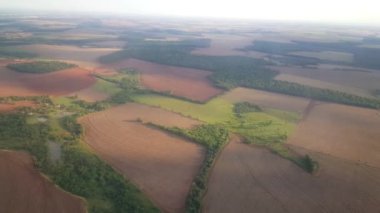 Güneşli bir günde Surinam 'da araba sürmek