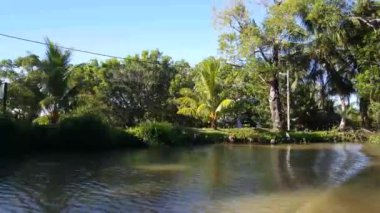 Commewijn nehri boyunca Surinam 'daki Bakkie köyü
