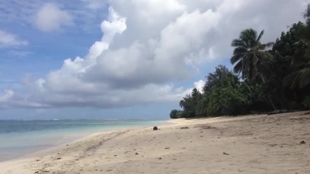 クック諸島ラロトンガ島のビーチ — ストック動画