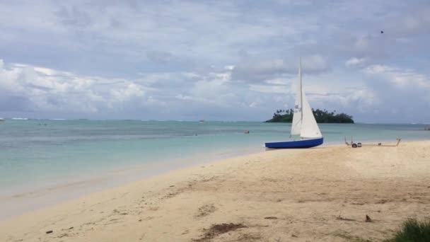 Plachetnice Pláži Rarotonga Cook Islands — Stock video