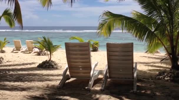 Rarotonga Cook Adalarındaki Sahilde Plaj Sandalyeleri — Stok video