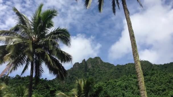 Landscape Rarotonga Cook Islands — Stock Video