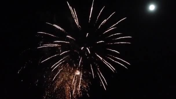 Fireworks Tapati Festival Easter Island Rapa Nui — Stock Video