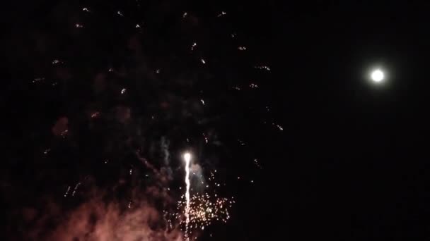 Fogos Artifício Festival Tapati Ilha Páscoa Rapa Nui — Vídeo de Stock