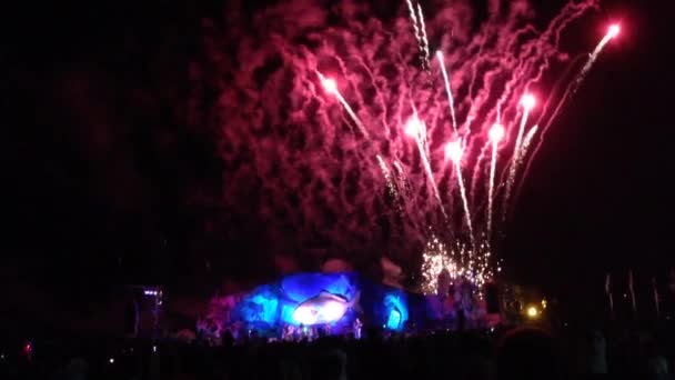 イースター島のタパティ祭りの花火 — ストック動画