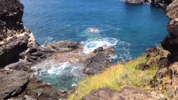 Caverna Ana Kai Tangata Ilha Páscoa Rapa Nui — Vídeo de Stock