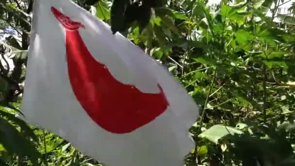 Bandera Rapa Nui — Vídeos de Stock