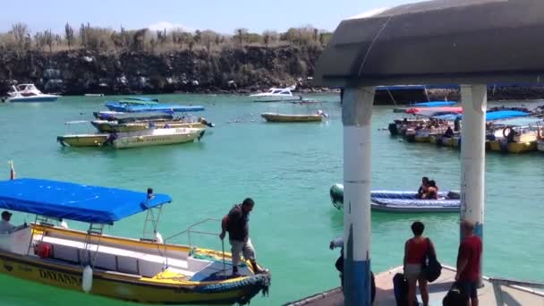 Hamnen Santa Cruz Galapagosöarna Ecuador — Stockvideo