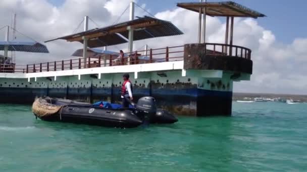 Sjötaxibilar Hamnen Santa Cruz Galapagosöarna Ecuador — Stockvideo