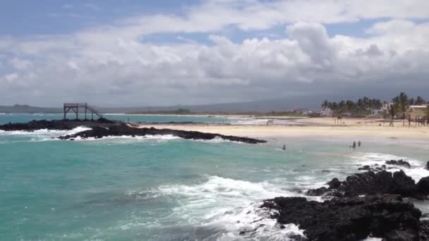 Strand Vid Isabela Galapagos Islands Ecuador — Stockvideo