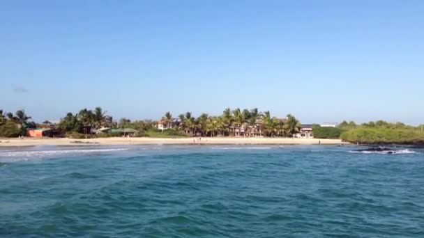 Stranden Isabela Galapagosöarna Ecuador — Stockvideo