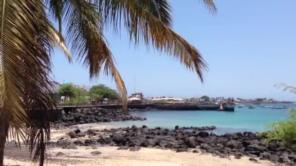 Strand Vid San Cristobal Galapagosöarna Ecuador — Stockvideo