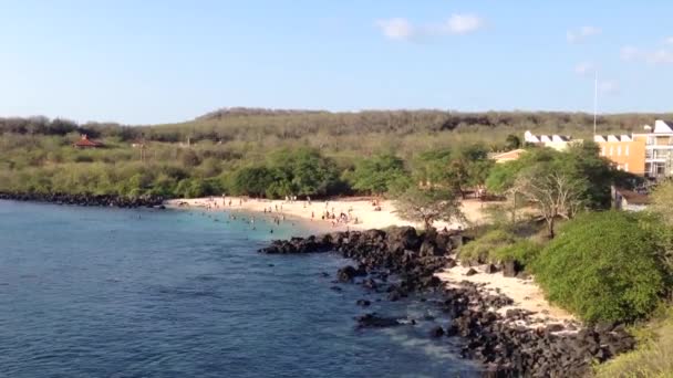 Playa Mann San Cristobal Îles Galapagos Équateur — Video