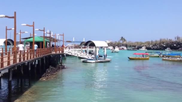 Haven Santa Cruz Galapagos Eilanden Ecuador — Stockvideo