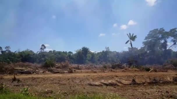 Passing Deforestation While Driving Suriname — Stock Video