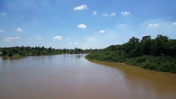 Saramacca Rivier Bij Uitkijk Suriname — Stockvideo