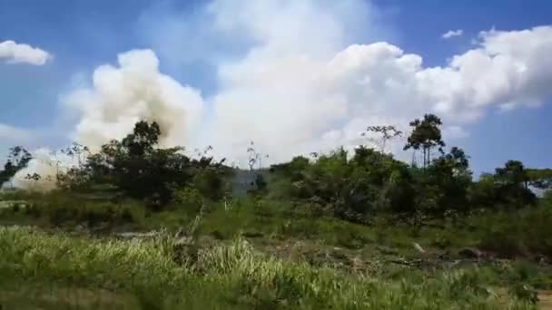 Surinam Kırsalından Geçerken — Stok video