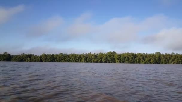 Rivière Commewijne au Suriname le matin