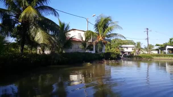 Llegando Bakkie Pueblo Surinam Largo Del Río Commewijn — Vídeos de Stock