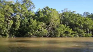 Bakkie 'ye Commewijn nehri boyunca Surinam' da bir köy bırakarak.