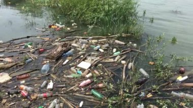 Belgrad 'daki Tuna Nehri' ndeki plastik şişeler ve diğer çöpler Sırbistan 'da